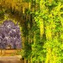 Dads garden