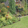 my back garden again!