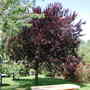 Dscn1256