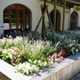 Hungarian Botanical garden 4.
