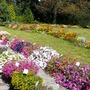 Hungarian Botanical garden 8.