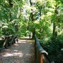 Botanical gardens 10