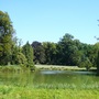 Botanical gardens 11