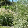 Botanical gardens 12