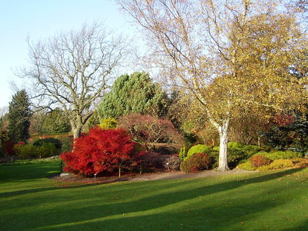 Harlow Carr Gardens November 2007
