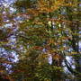 Captured_2007-11-5_00019