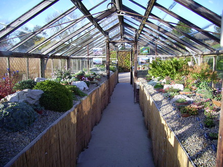 Alpine house at Harlow carr