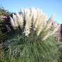 Captured_2007-11-5_00077
