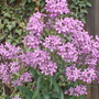 Dsc00064