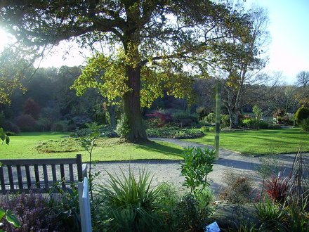 Harlow Carr