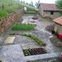 flowers_005.jpg