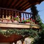 flowers_010.jpg