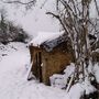 P1010456.jpg