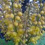 Dsc00063_edited