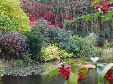 The_Dingle_-_Autumn_07_003.jpg