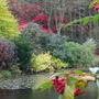 The_Dingle_-_Autumn_07_003.jpg