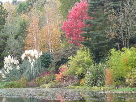 The_Dingle_-_Autumn_07_005.jpg