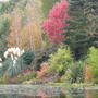The_dingle_-_autumn_07_005