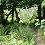 View from vegetable garden 