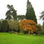 Tyntesfield