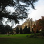 Tyntesfield