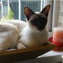 its my bed