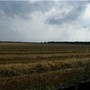 views from my back garden gate