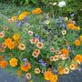 Planter
