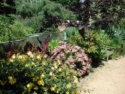 DSCN1288.jpg