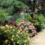 Dscn1288