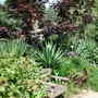 Dscn1289