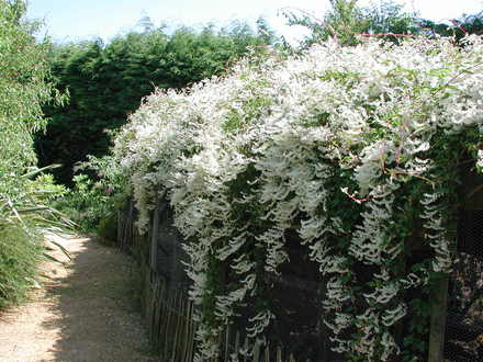 DSCN1290.jpg