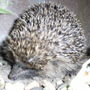 Dscf0289