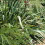 Dscn1293