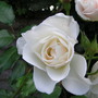 Pict0023