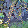 Dsc00062_edited