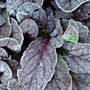 DSC00062_edited.jpg