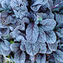 Dsc00062_edited