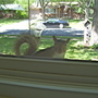 100_1033.jpg