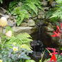 Garden_23rd_august_2008