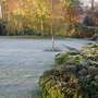 Frosty_morning