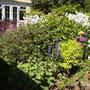 Garden_June_2006_006.jpg