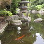 The Kyoto Garden, Holland Park, London