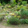 North_isle_from_west808.jpg