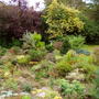 rockeryfromw808.jpg