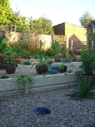 Back garden