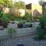 Back garden