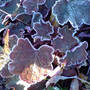 Dsc00065_edited