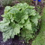 Allotment