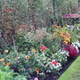 Allotment